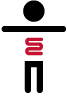 Bioengineered Organs Initiative